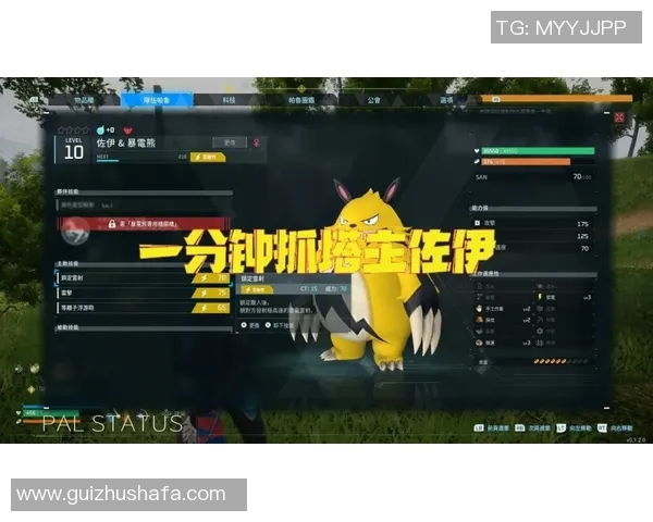 帕奎塔:从新星到巨星的蜕变之路与未来展望 帕奎塔:从新星到巨星的蜕变之路与未来展望