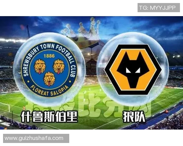 狼队与什鲁斯激战正酣谁能在这场较量中笑到最后