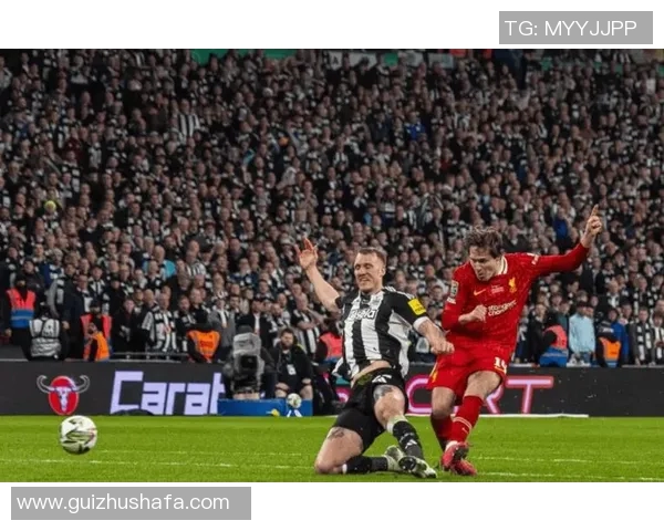 诺维奇与埃弗顿激战正酣比分揭晓精彩瞬间回顾 诺维奇与埃弗顿激战正酣比分揭晓精彩瞬间回顾