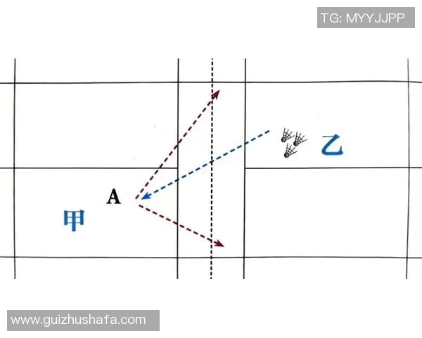 从零基础到高手之路羽毛球节奏与技巧全方位指南MBA